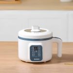 autocuiseur japonais à riz (2)