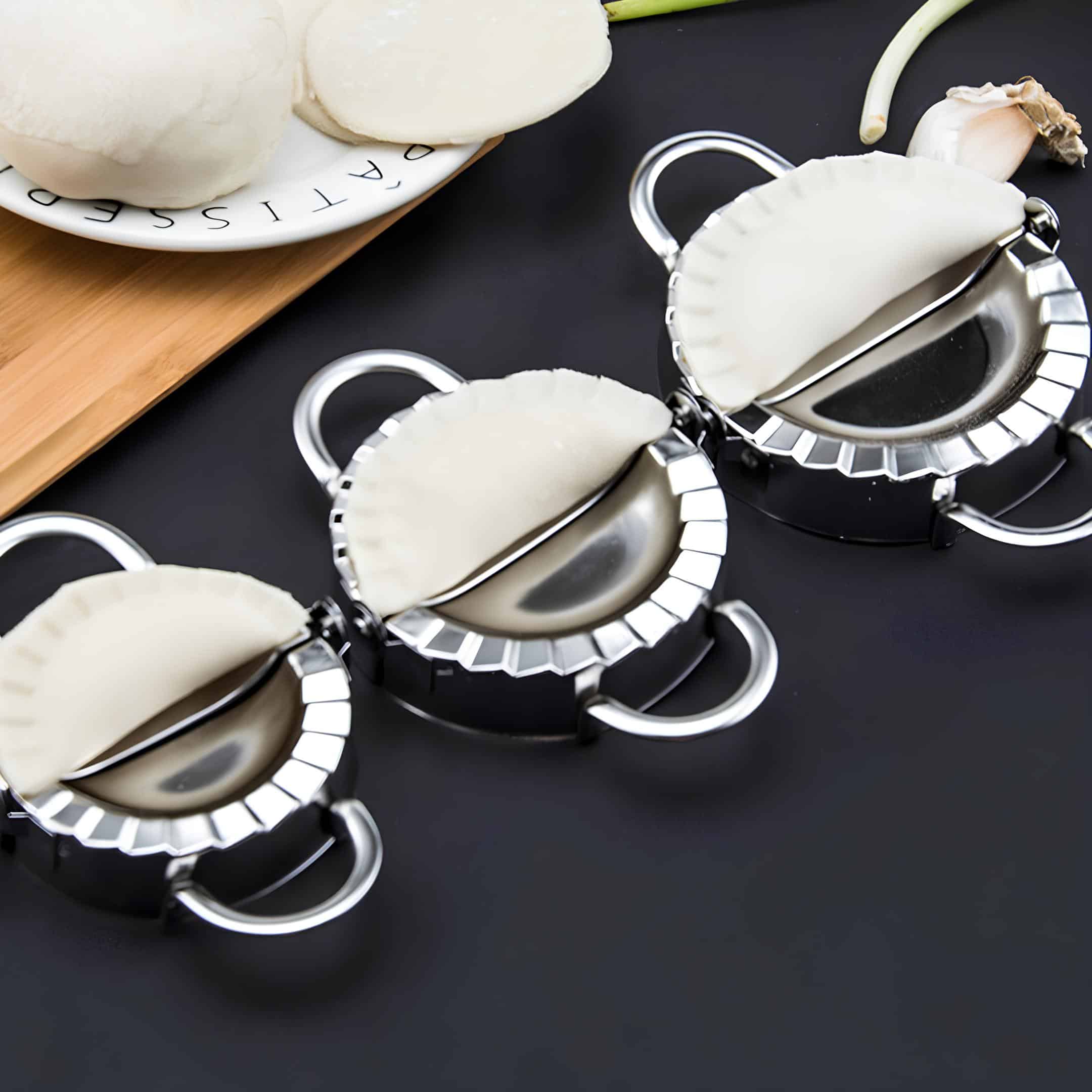 Moule à Gyozas (12)