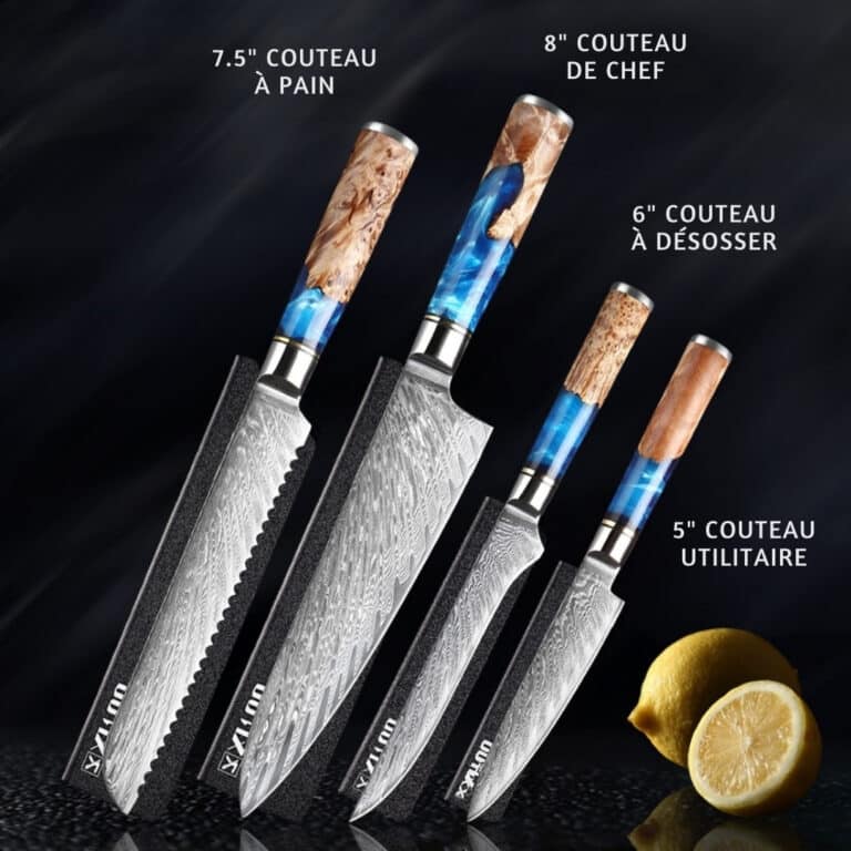 Set de 4 couteaux de cuisine japonais damas 67 couches | manche bleu