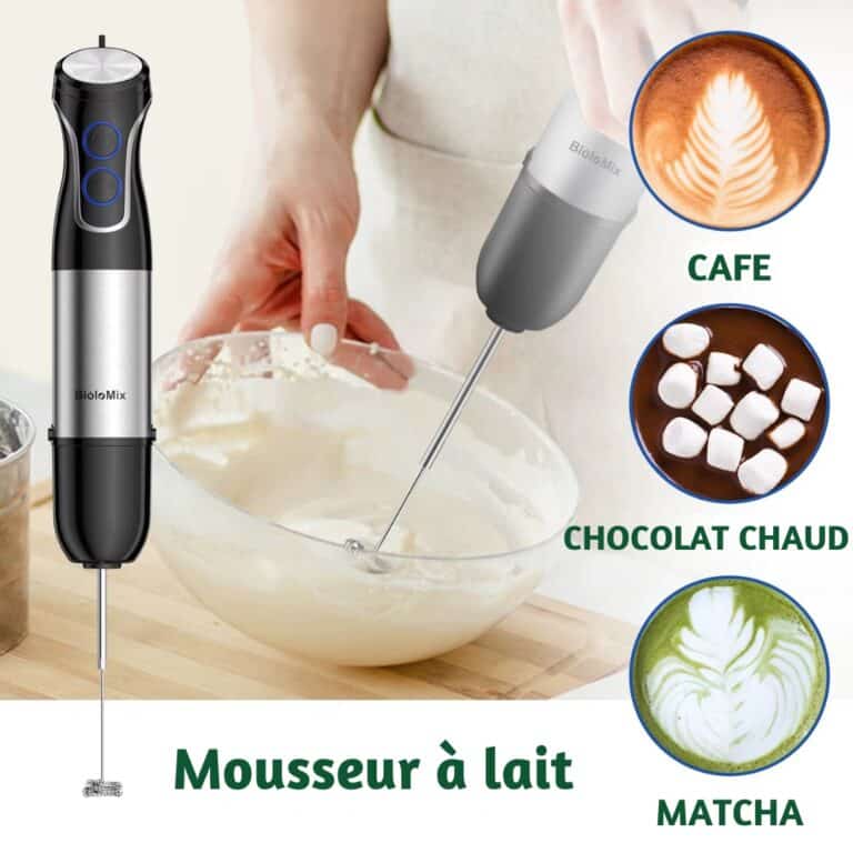 Mixeur Puissant et Hachoir Biolomix 4