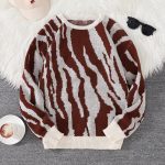 Pull col Rond à Motifs Zébrés 8