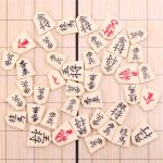 Jeu-de-Shogi-Magnetique-et-Pliable-avec-40-Pieces-galerie-2733