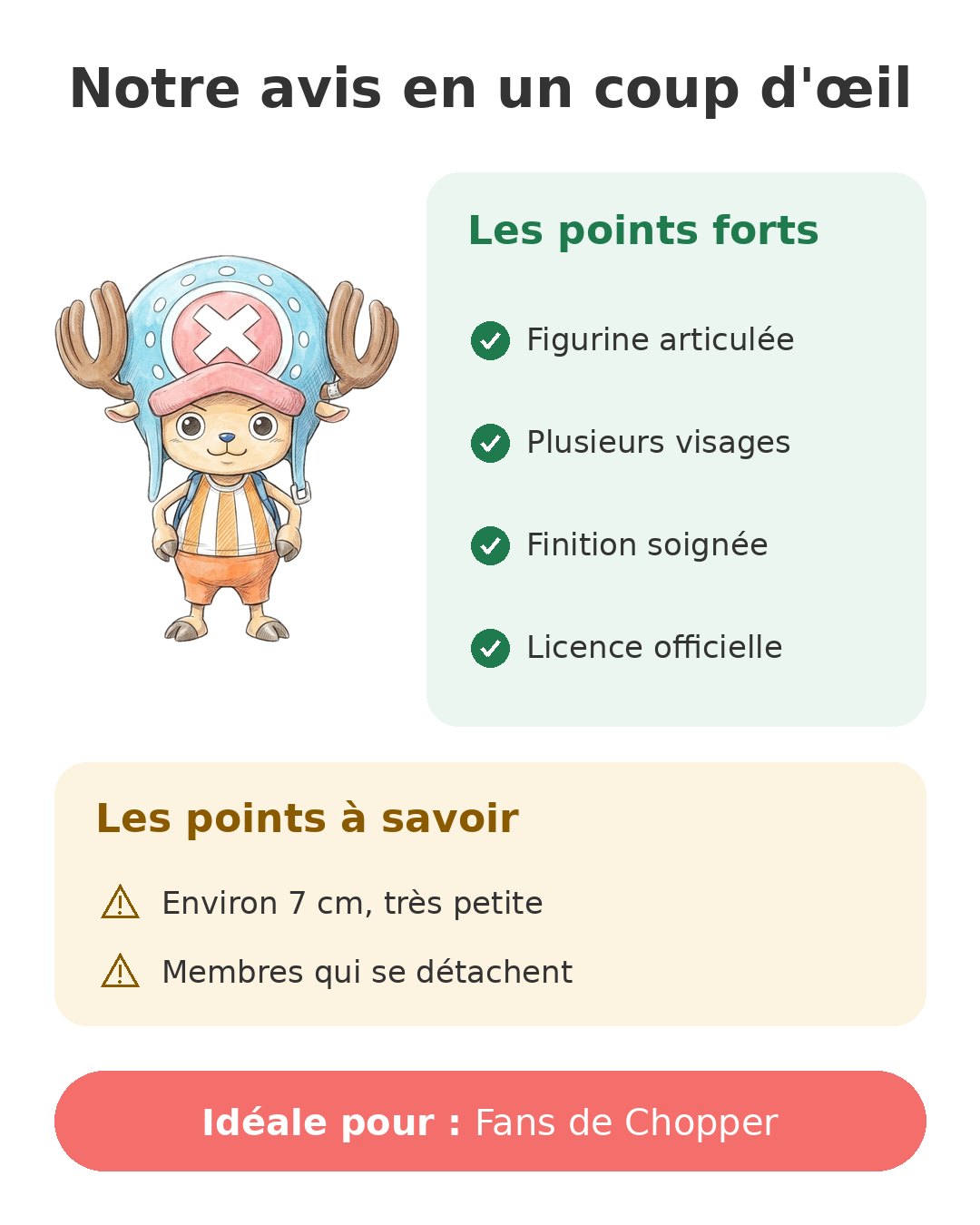Notre avis en un coup d'œil sur Chopper Anime Heroes