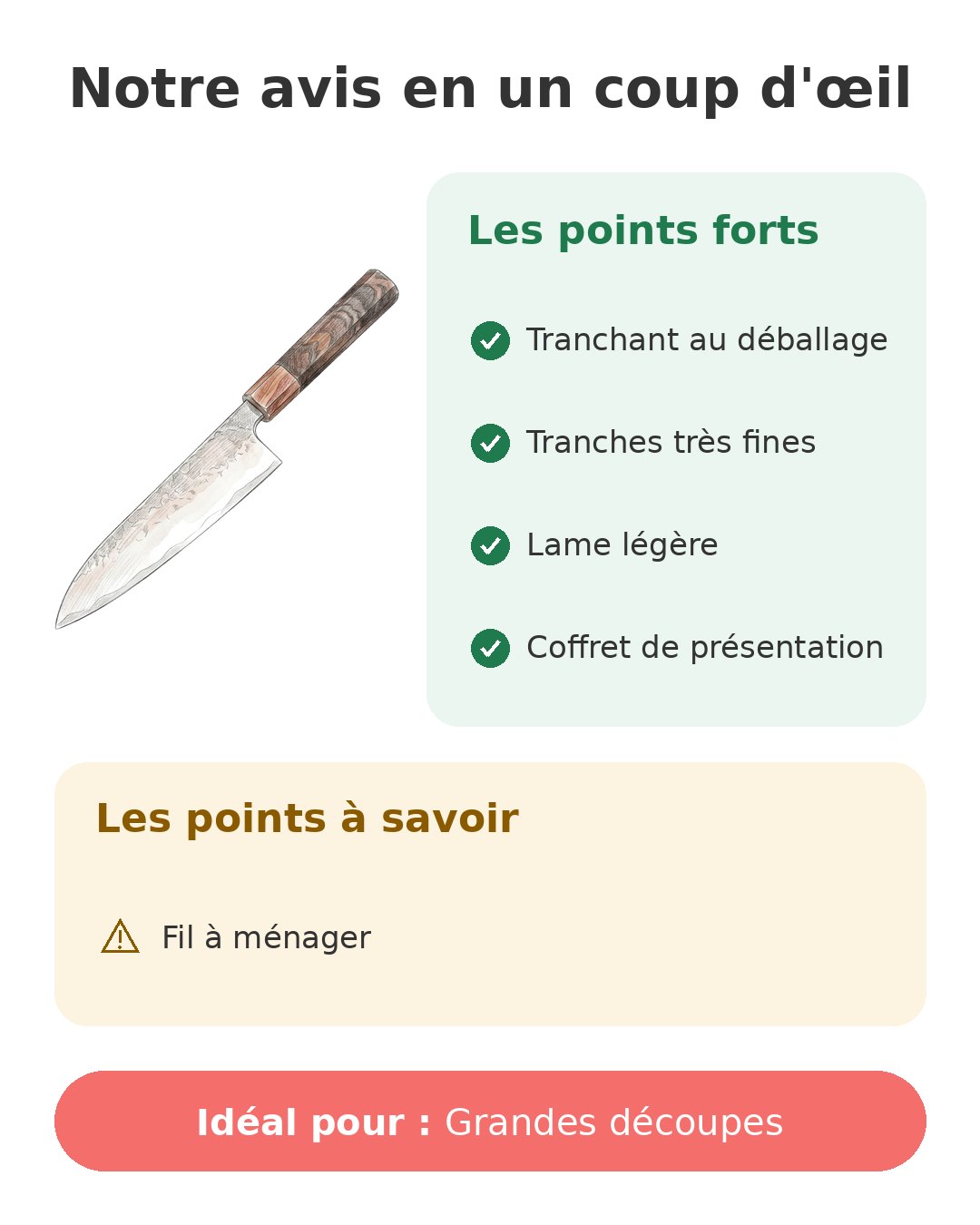 Notre avis en un coup d'œil sur Gyuto Kanngou 21 cm