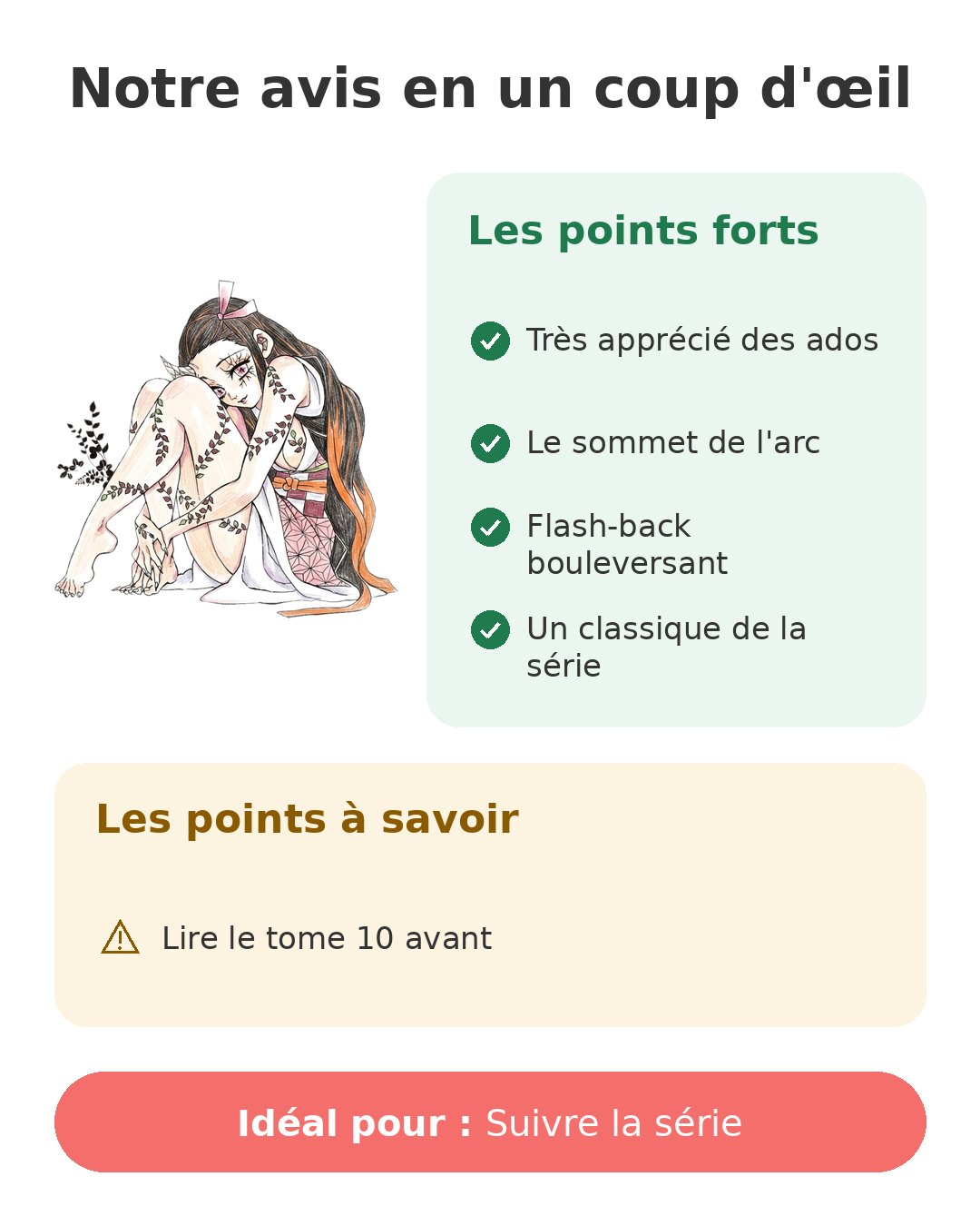 Notre avis en un coup d'œil sur Demon Slayer T11