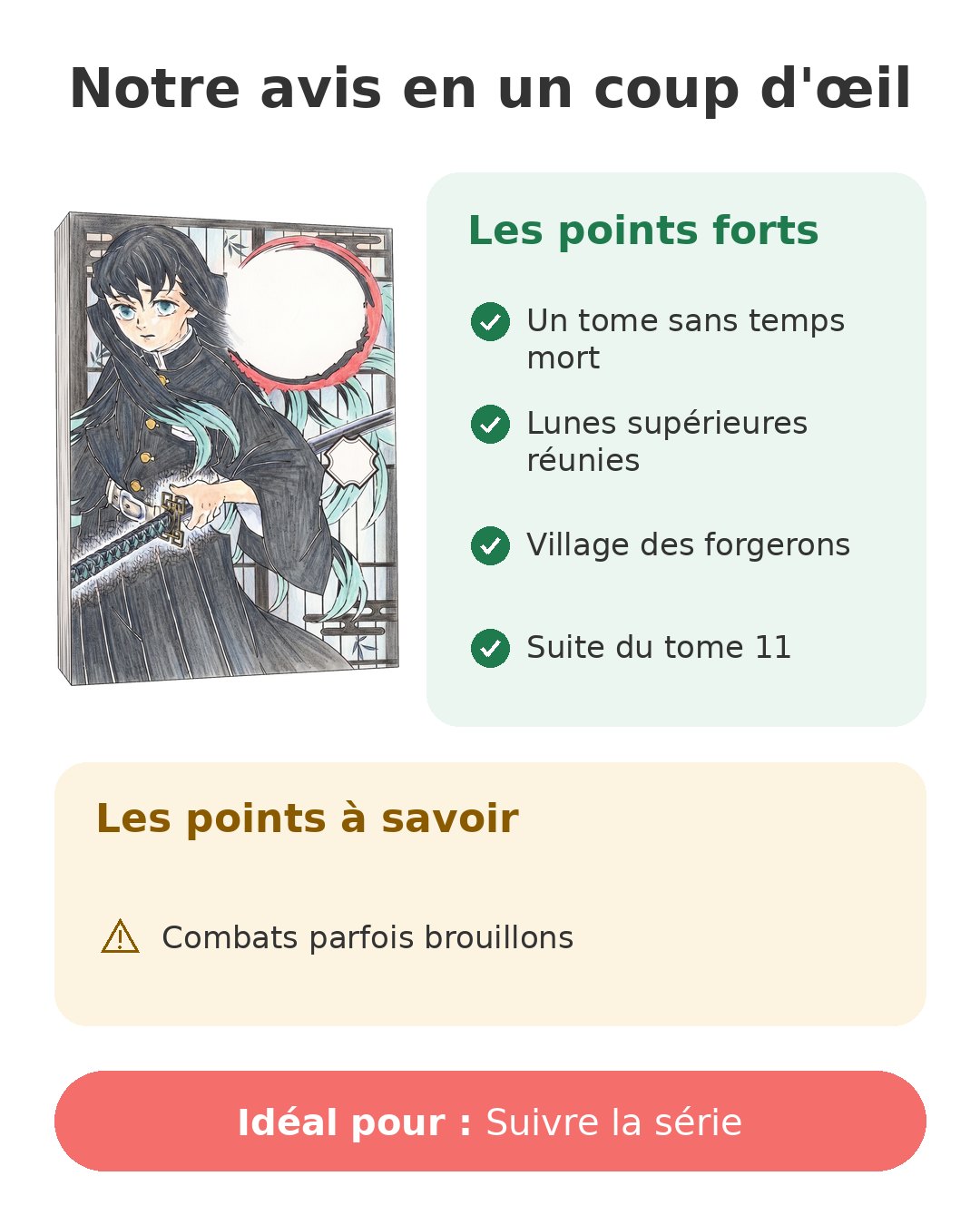 Notre avis en un coup d'œil sur Demon Slayer T12
