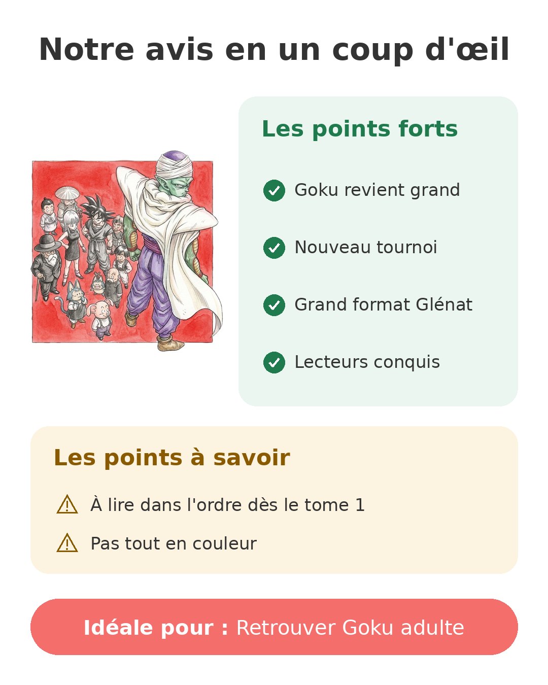 Notre avis en un coup d'œil sur DB Perfect Edition 12