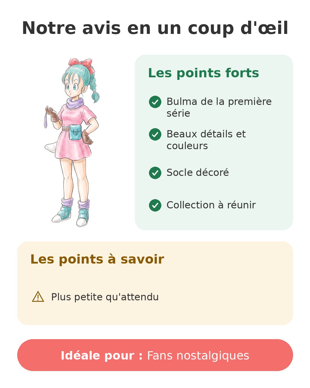Notre avis en un coup d'œil sur Bulma History Box