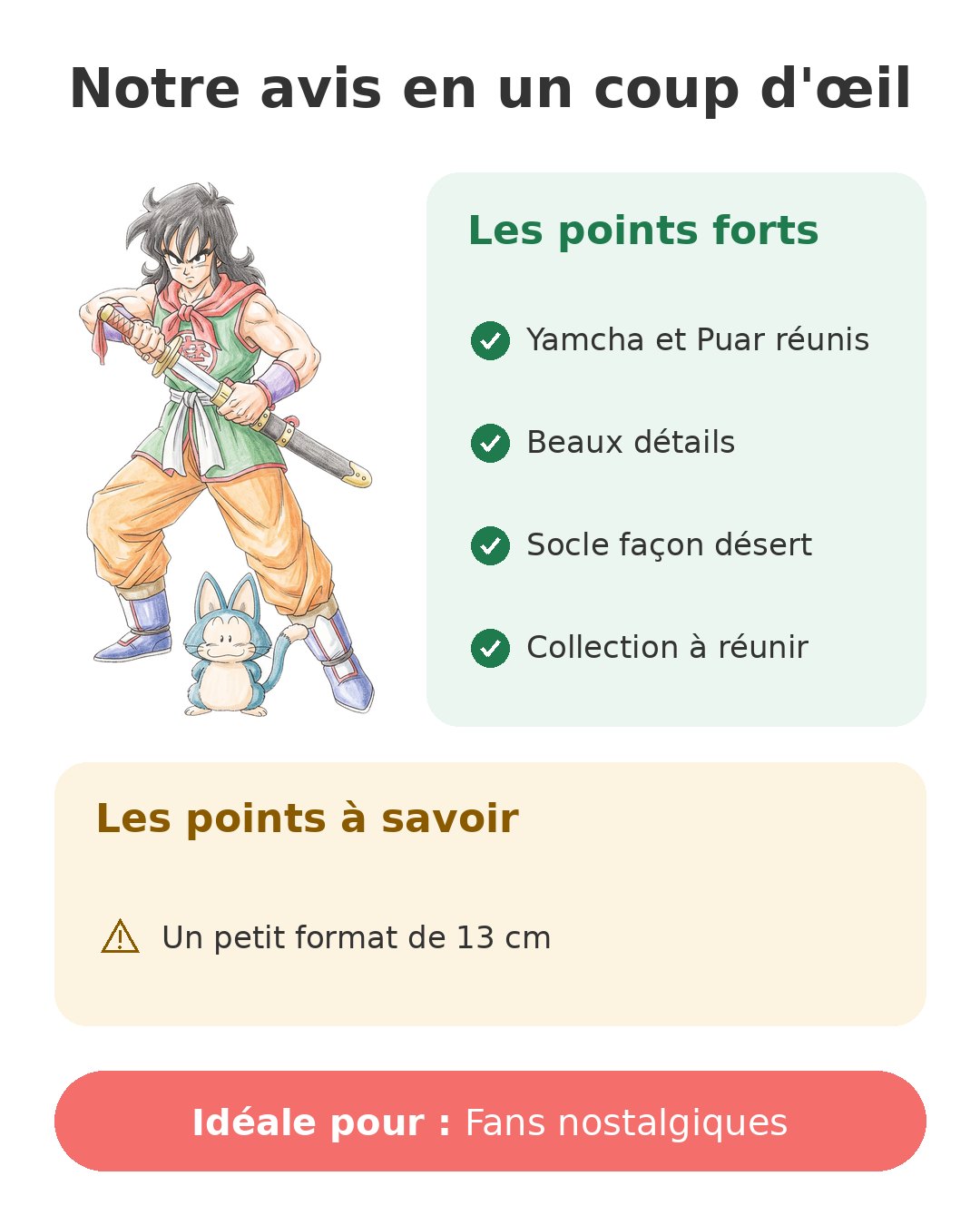 Notre avis en un coup d'œil sur Yamcha History Box