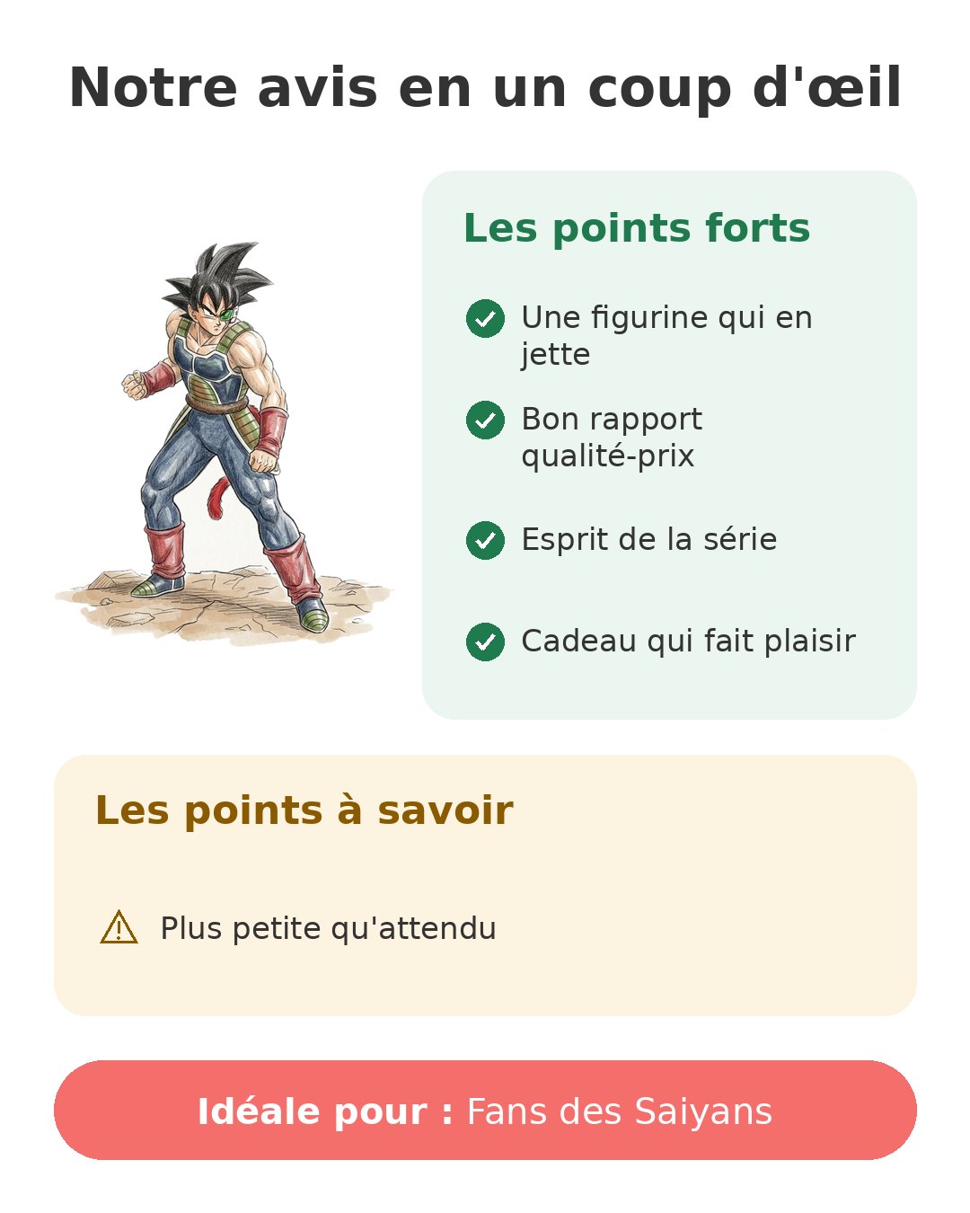 Notre avis en un coup d'œil sur Bardock History Box