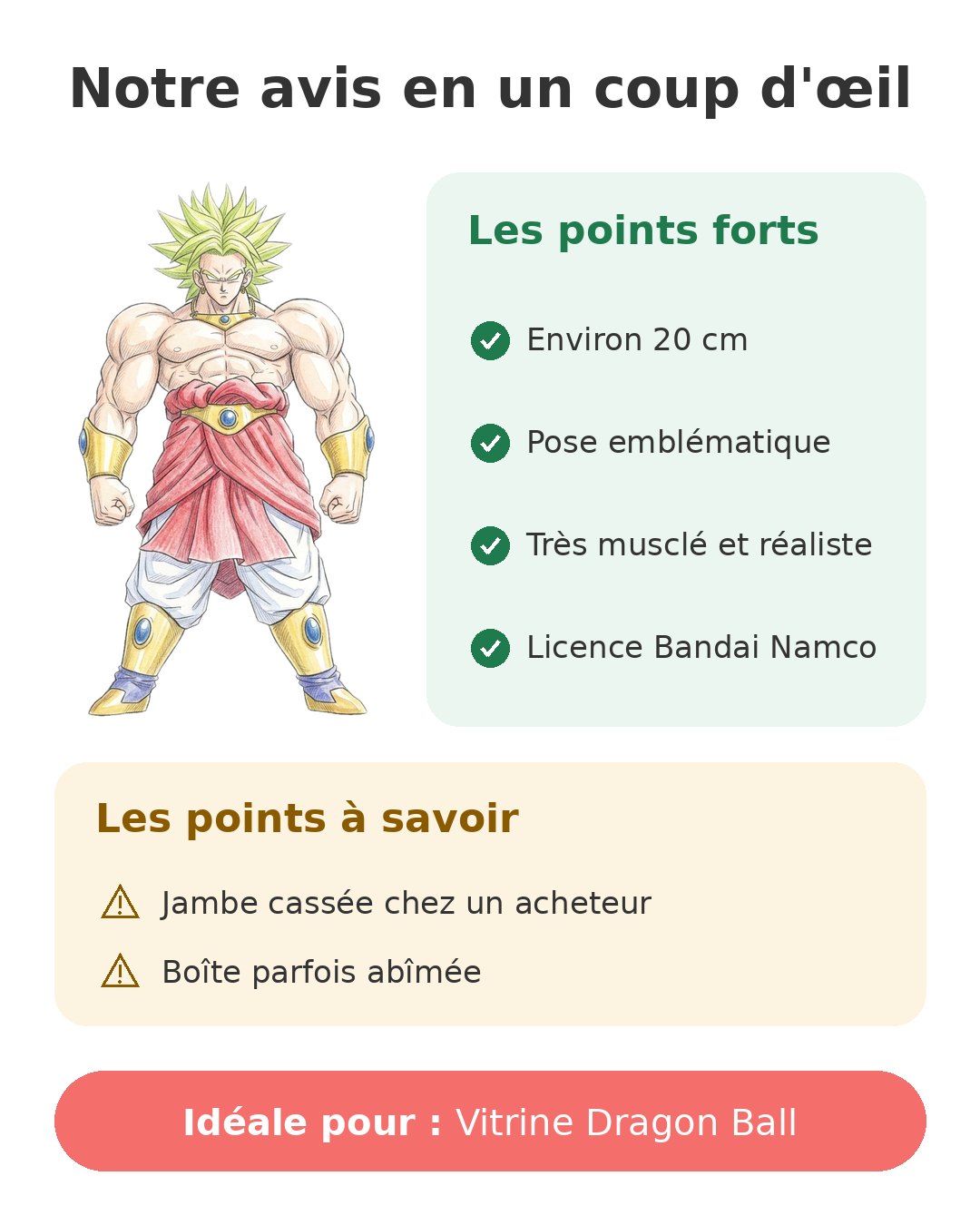 Notre avis en un coup d'œil sur Broly Blood of Saiyans