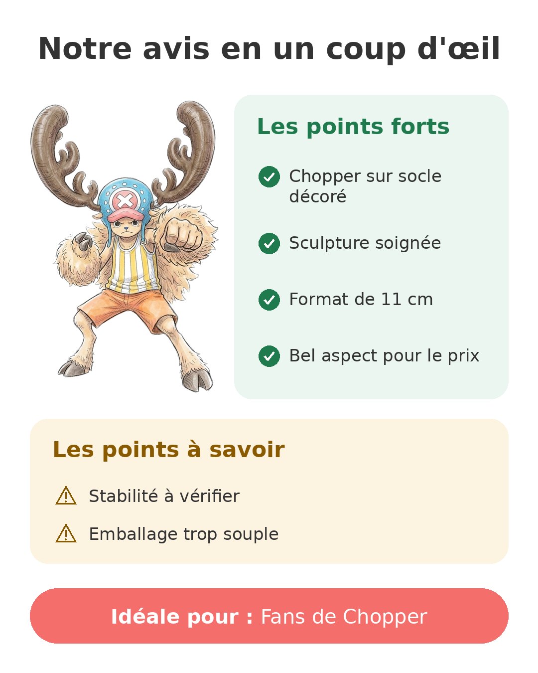 Notre avis en un coup d'œil sur Chopper ABYstyle
