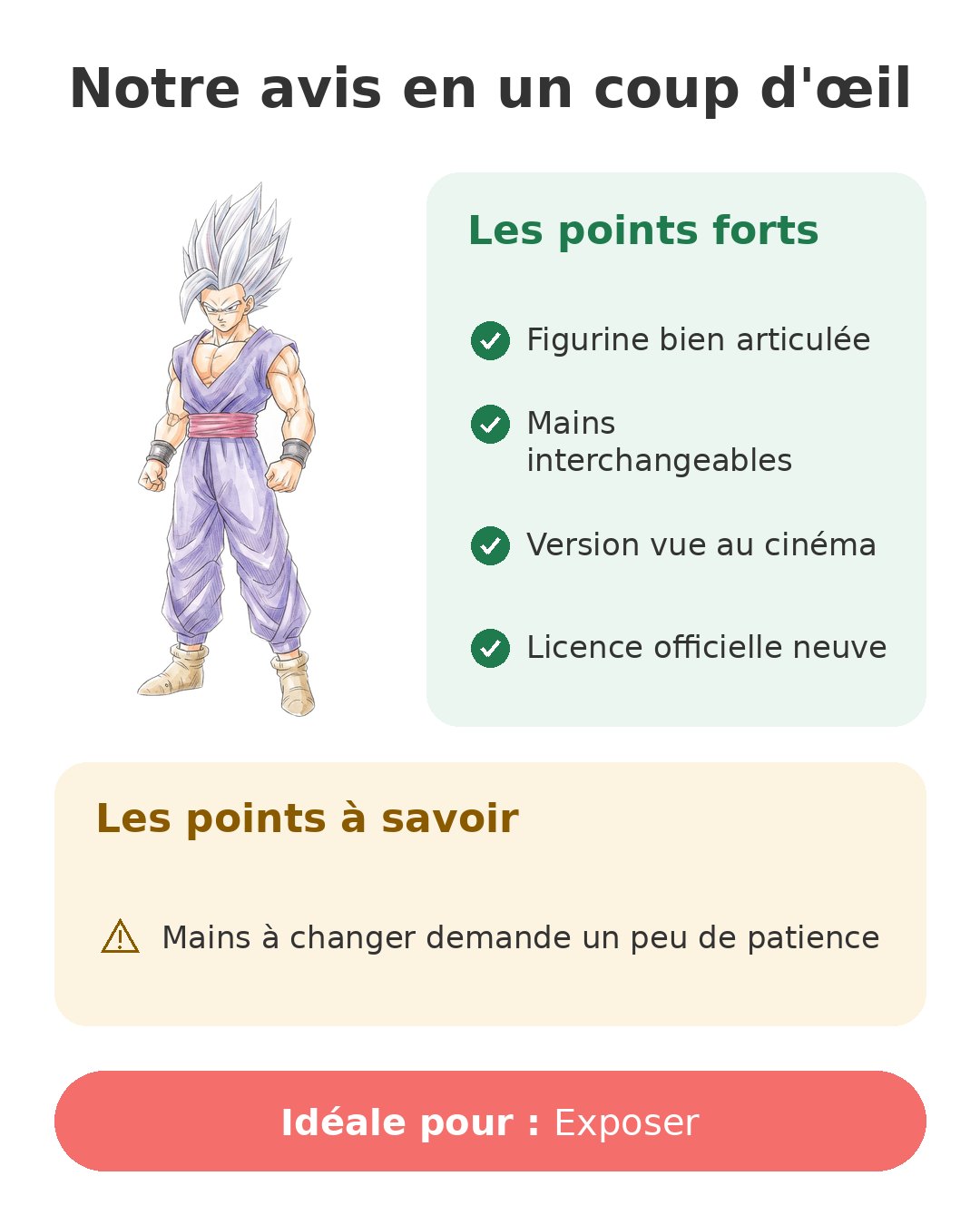 Notre avis en un coup d'œil sur Dragon Stars Gohan