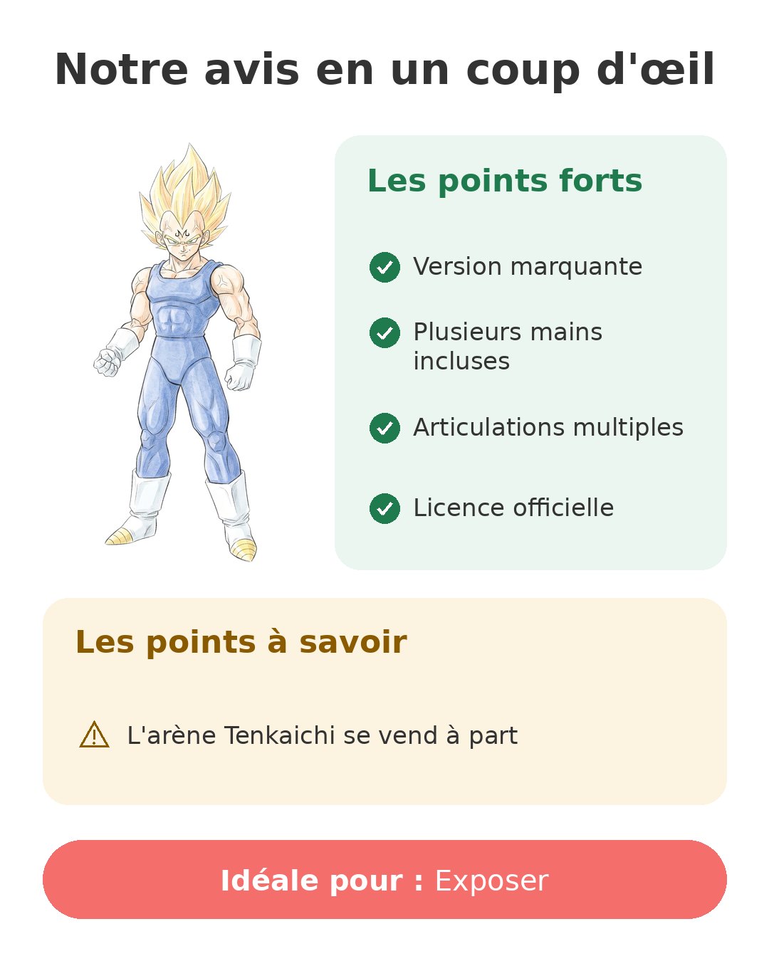 Notre avis en un coup d'œil sur Dragon Stars Vegeta
