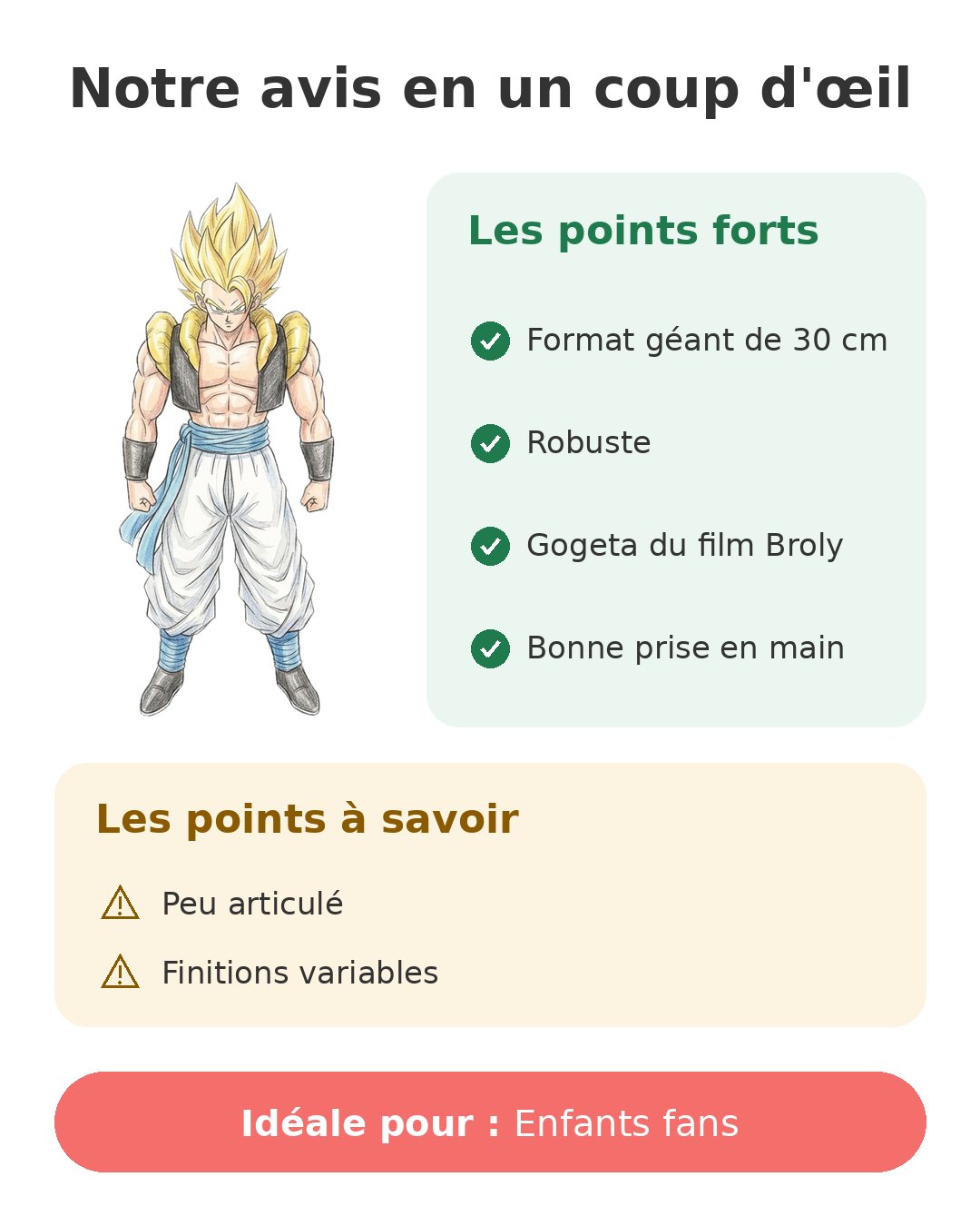 Notre avis en un coup d'œil sur Gogeta Limit Breaker