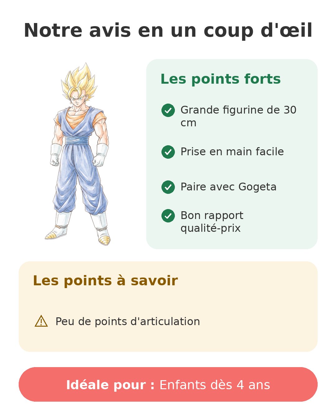 Notre avis en un coup d'œil sur Vegeto Limit Breaker