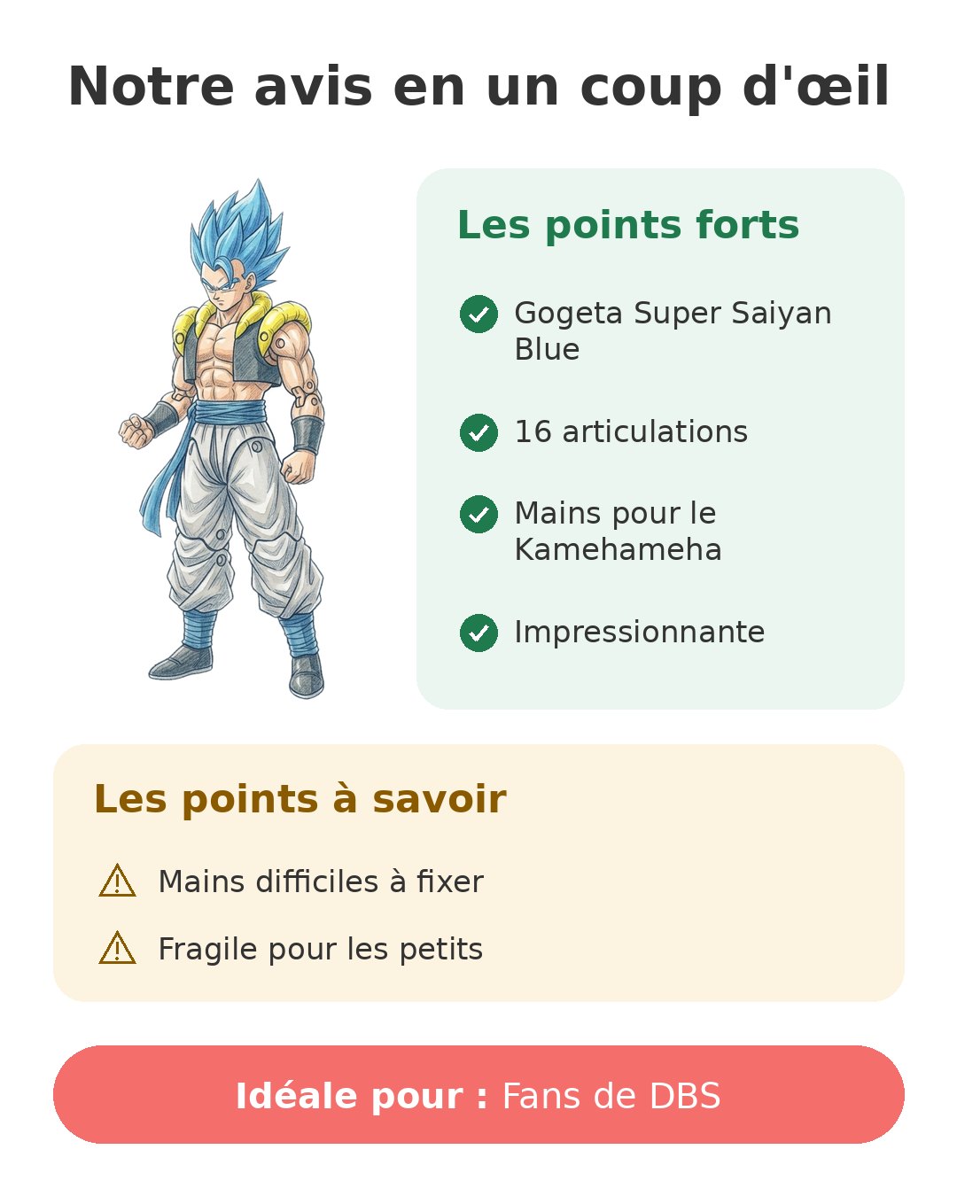 Notre avis en un coup d'œil sur Dragon Stars Gogeta