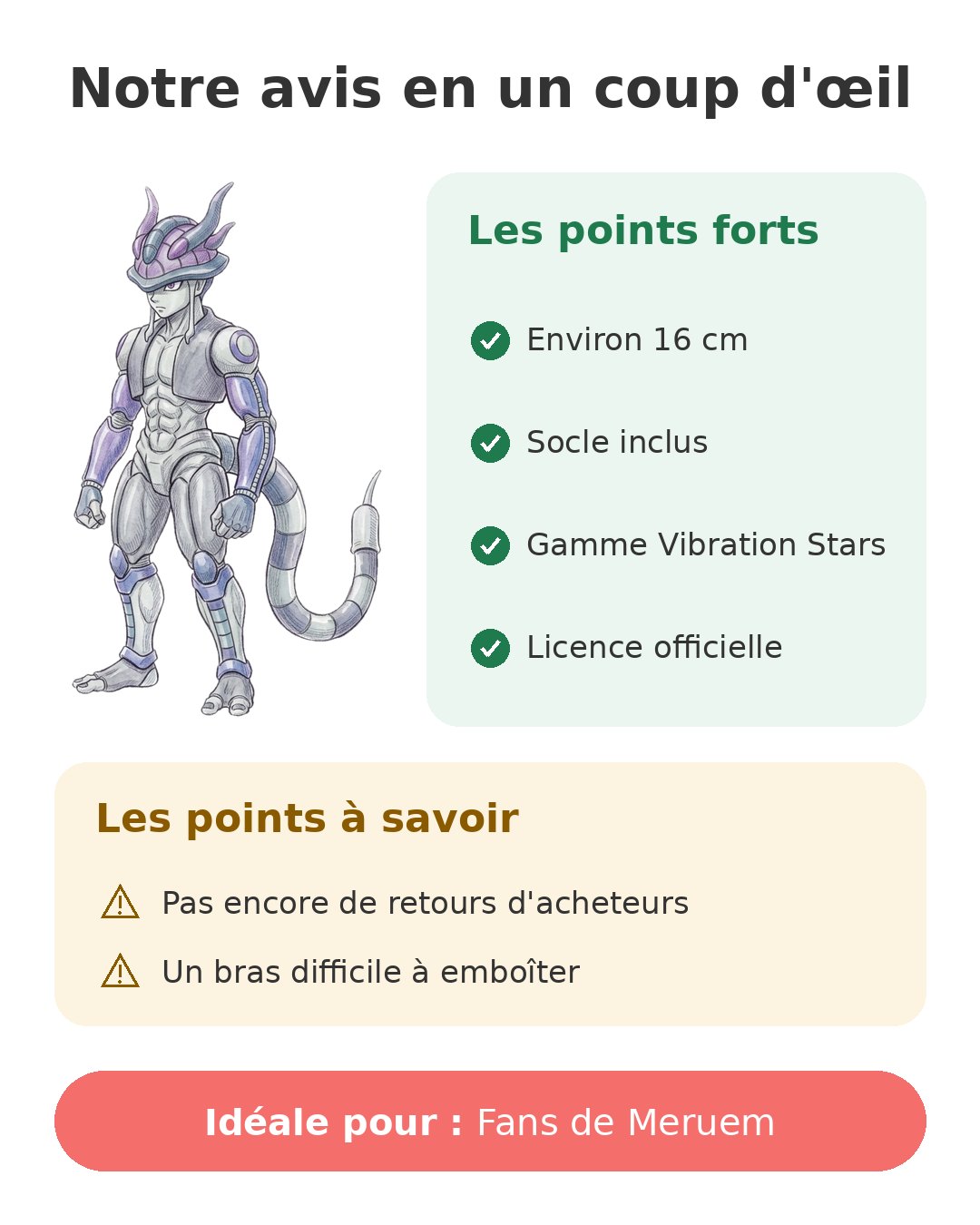 Notre avis en un coup d'œil sur Meruem Vibration
