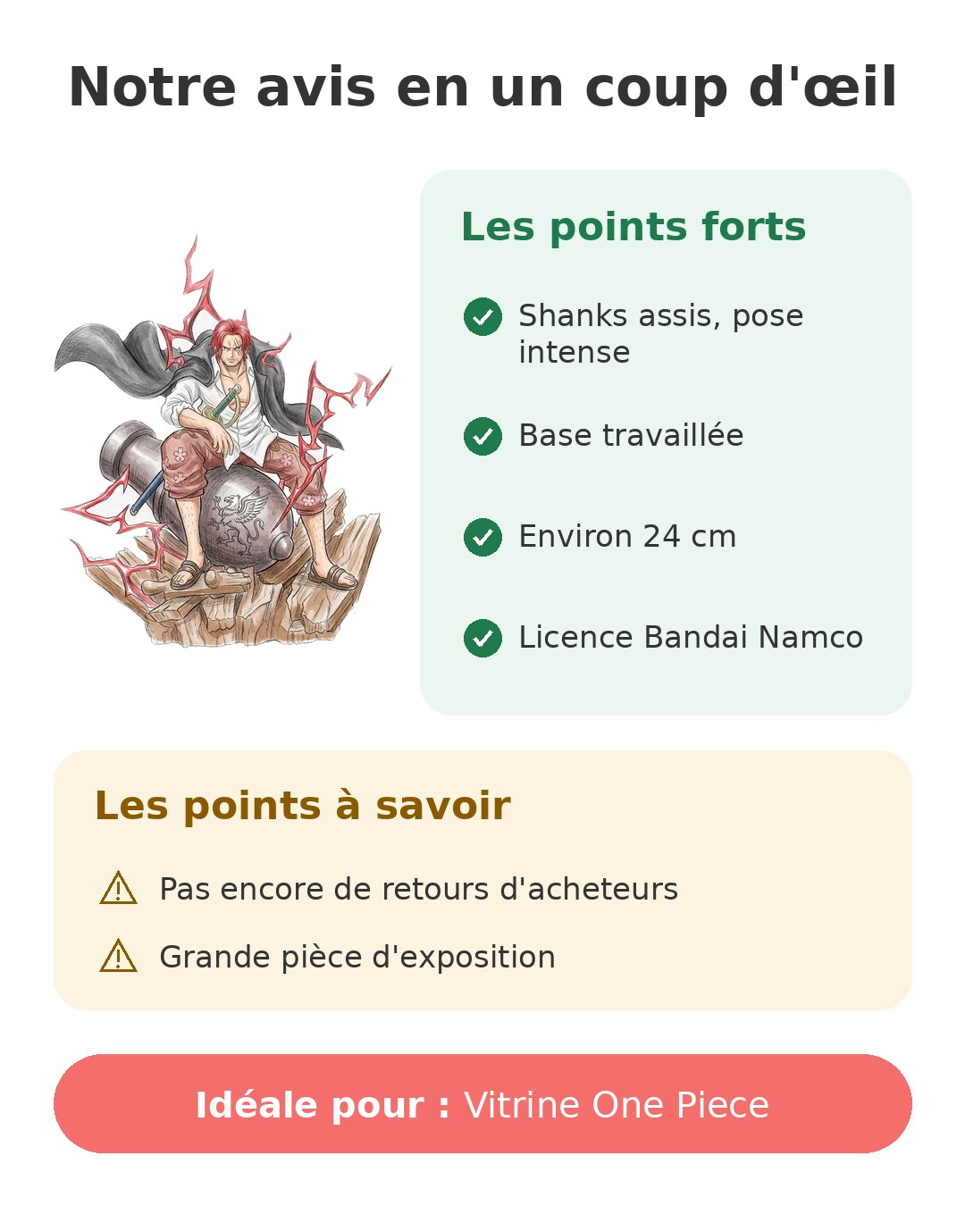 Notre avis en un coup d'œil sur Shanks Theorama Soul