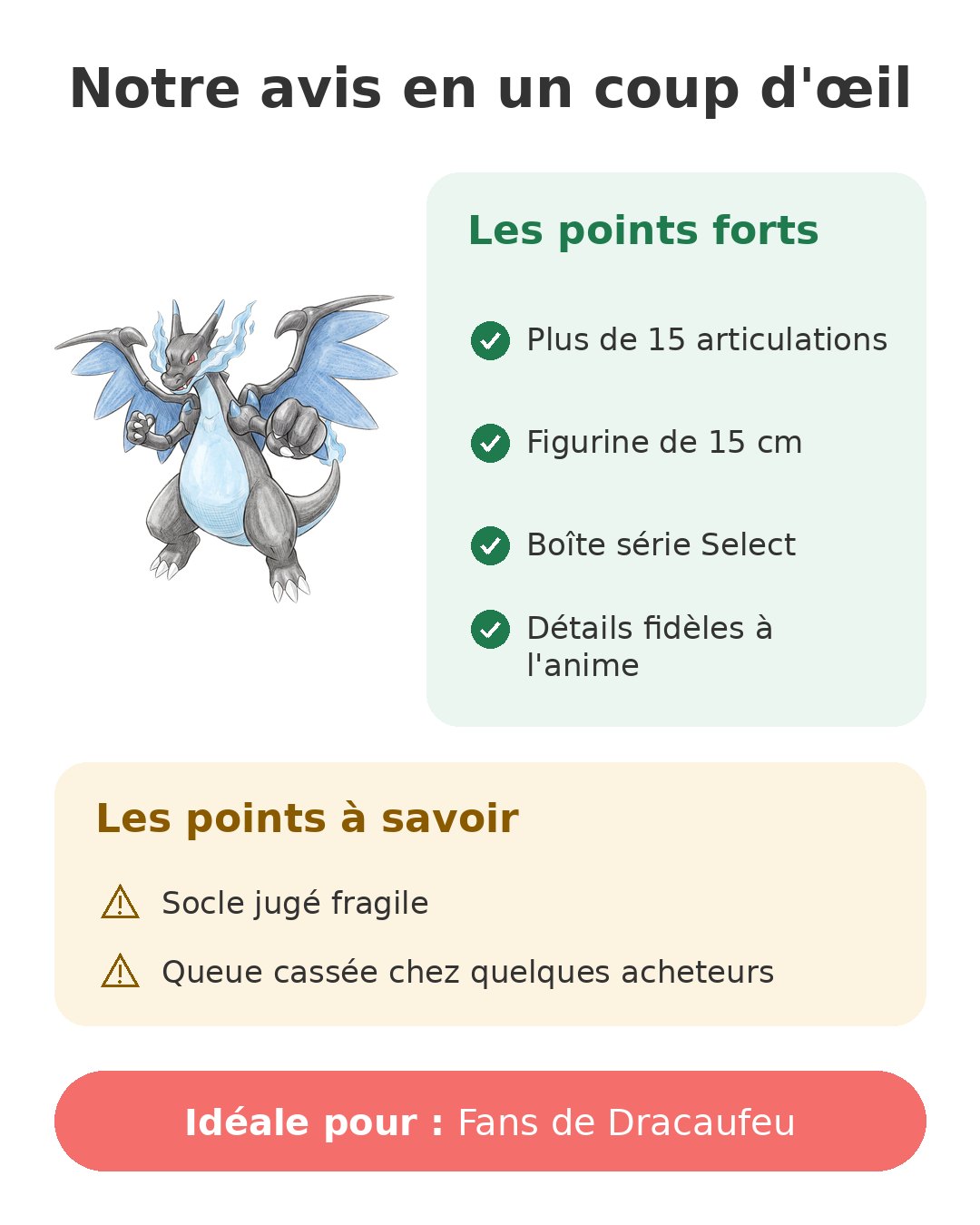 Notre avis en un coup d'œil sur Méga-Dracaufeu X