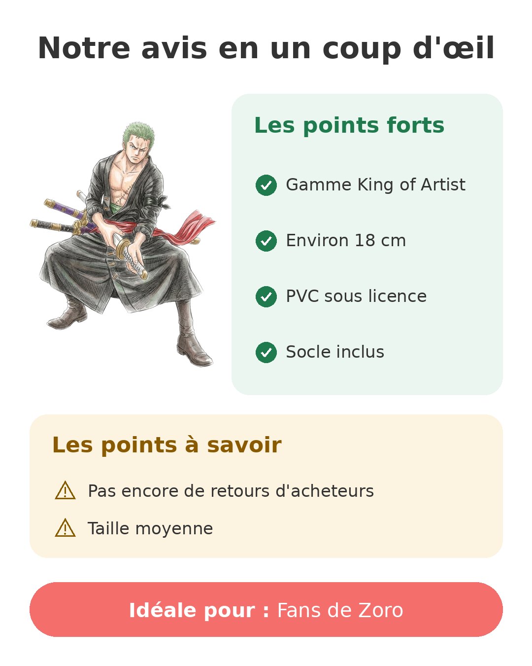 Notre avis en un coup d'œil sur Zoro King of Artist