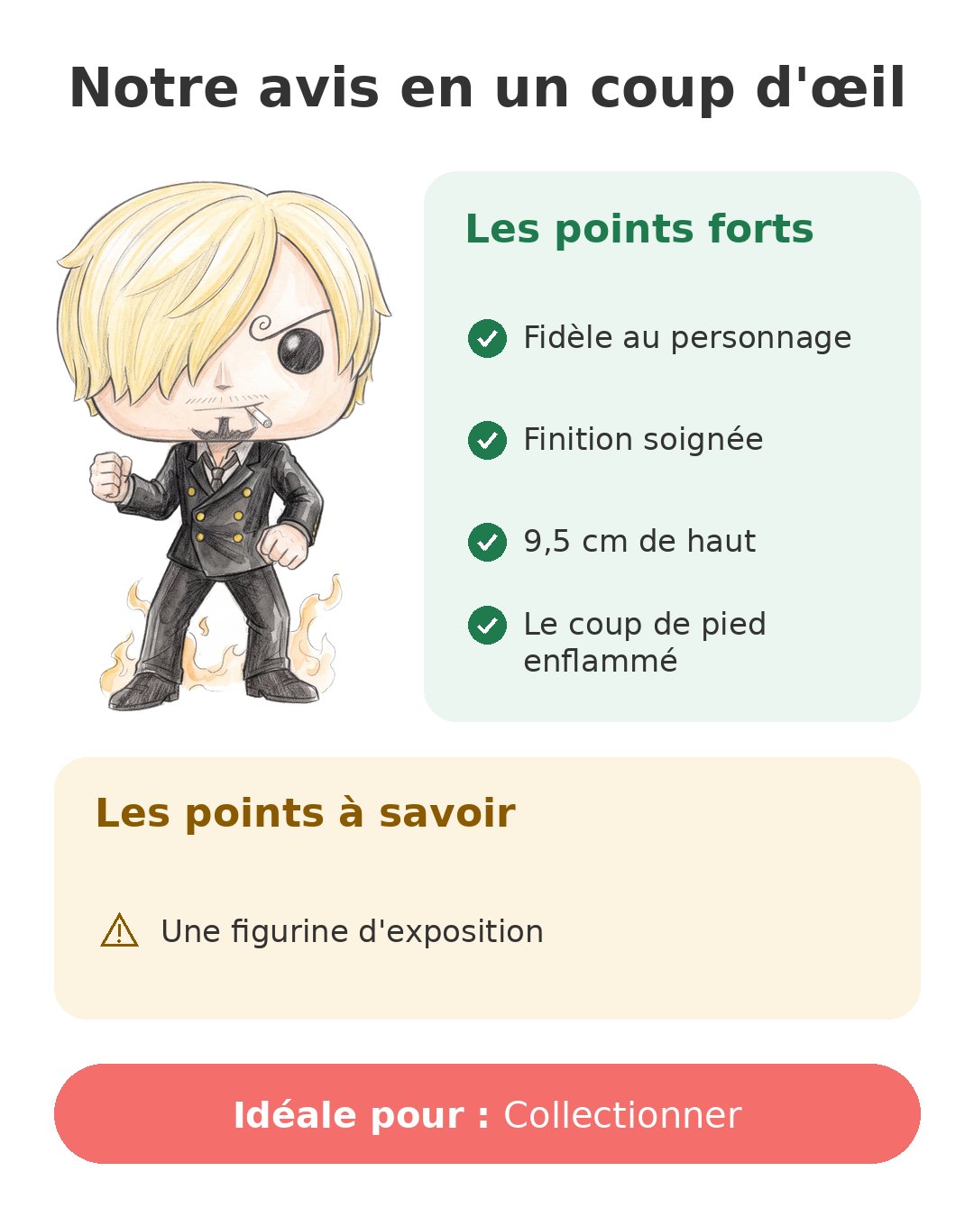 Notre avis en un coup d'œil sur Pop Sanji