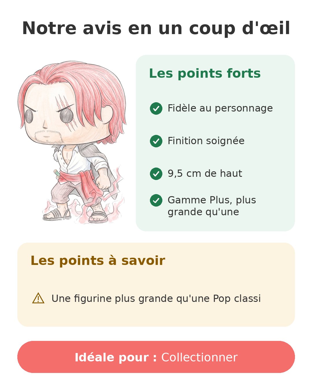 Notre avis en un coup d'œil sur Pop Shanks