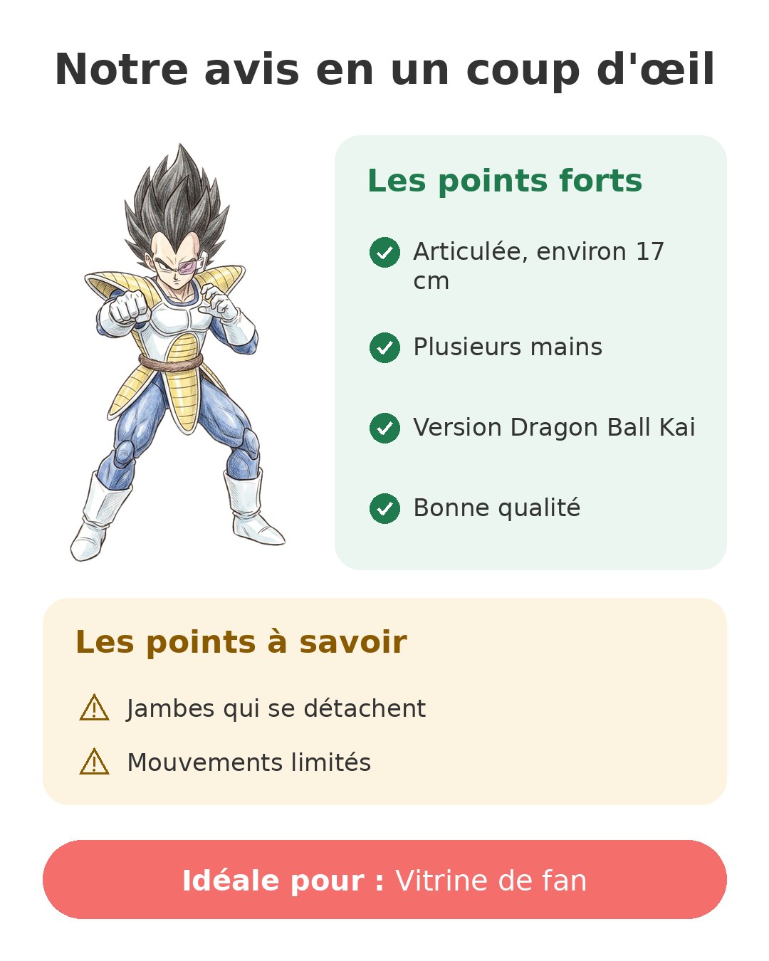 Notre avis en un coup d'œil sur Vegeta Dragon Stars