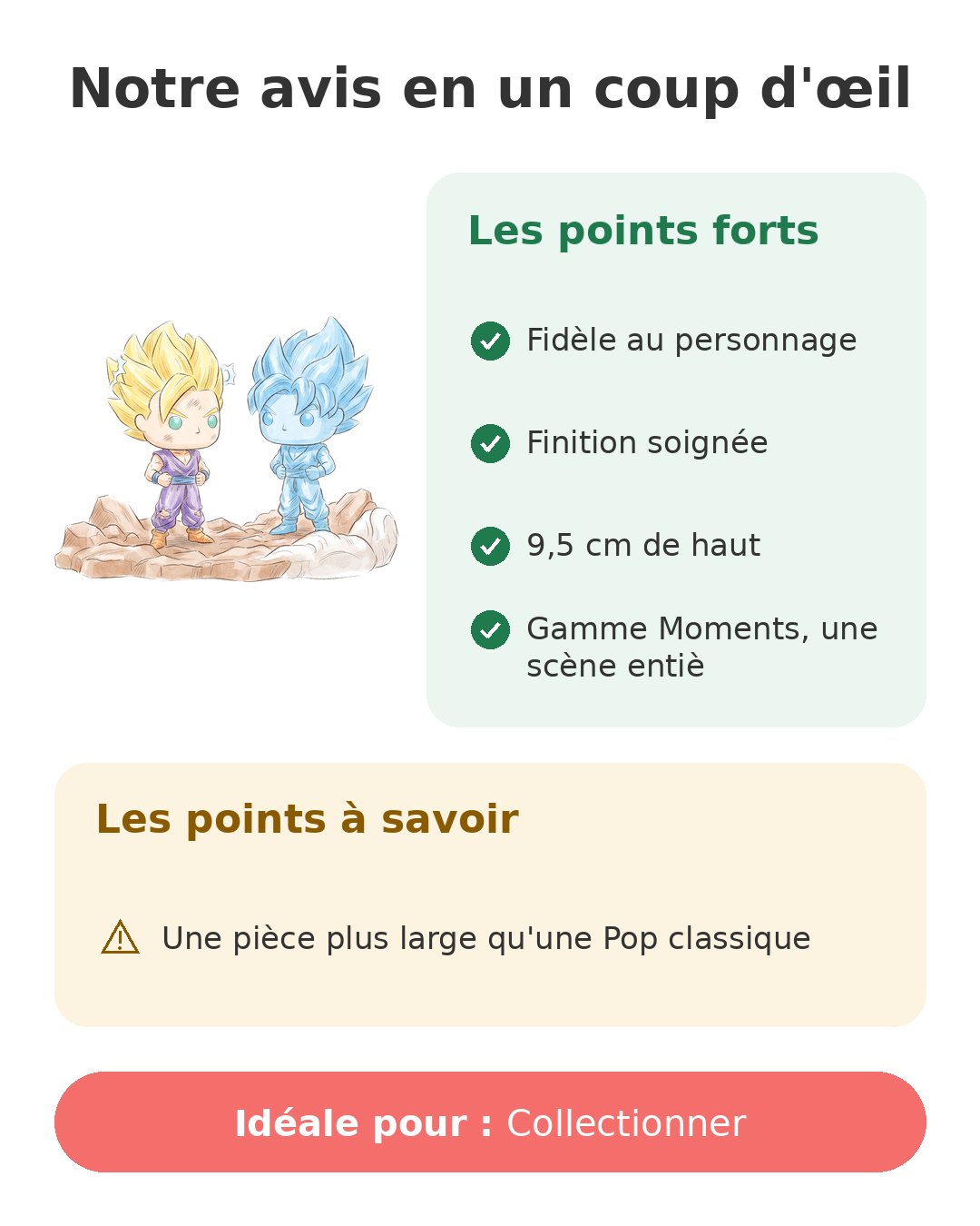 Notre avis en un coup d'œil sur Pop Kamehameha