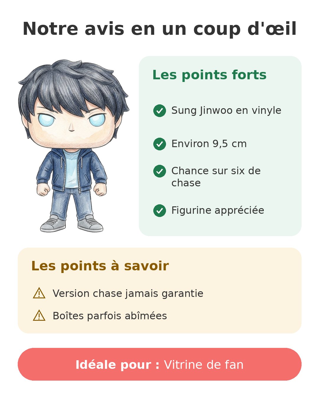 Notre avis en un coup d'œil sur Funko Pop Jinwoo