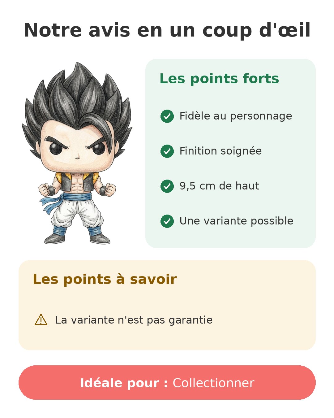 Notre avis en un coup d'œil sur Pop Gogeta