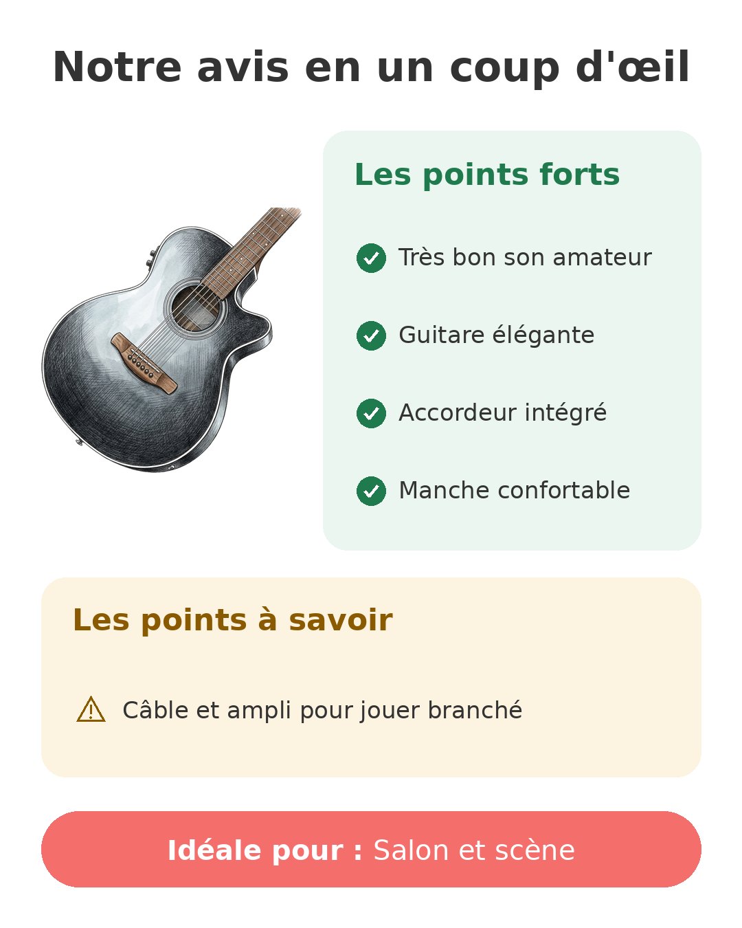 Notre avis en un coup d'œil sur Ibanez AEG50