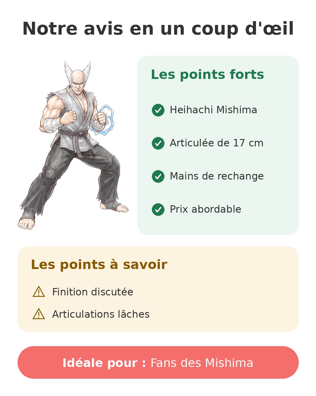 Notre avis en un coup d'œil sur Heihachi Mishima