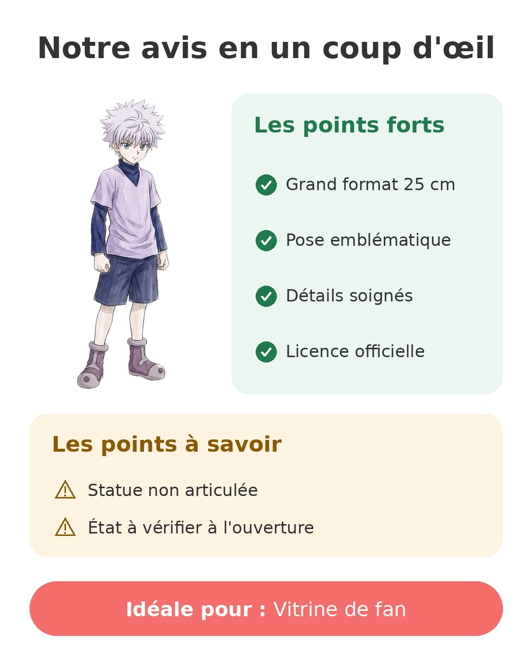 Notre avis en un coup d'œil sur Killua Grandista