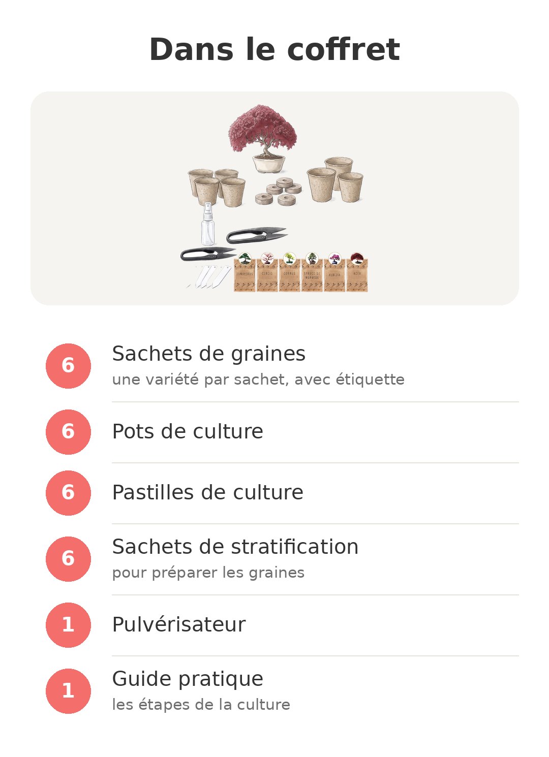 Contenu de la boîte : Cultivea 6 variétés