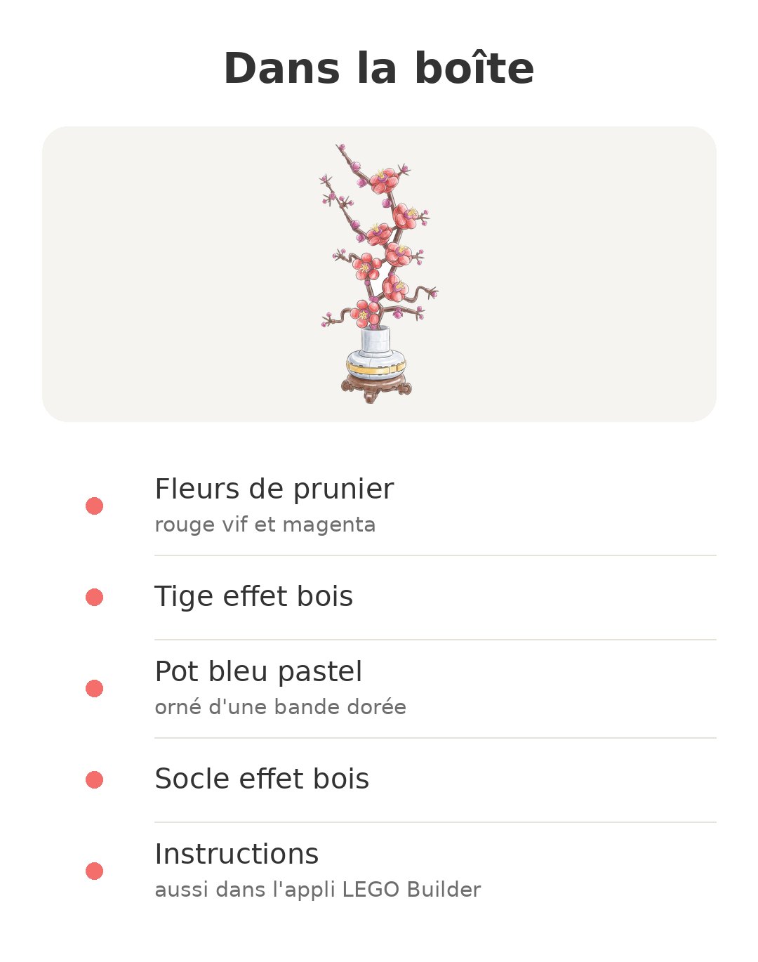 Contenu de la boîte : Fleurs de prunier