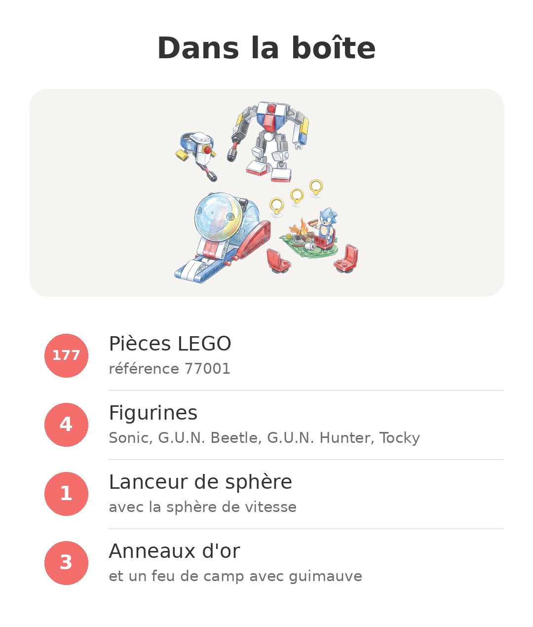 Contenu de la boîte : Sonic feu de camp