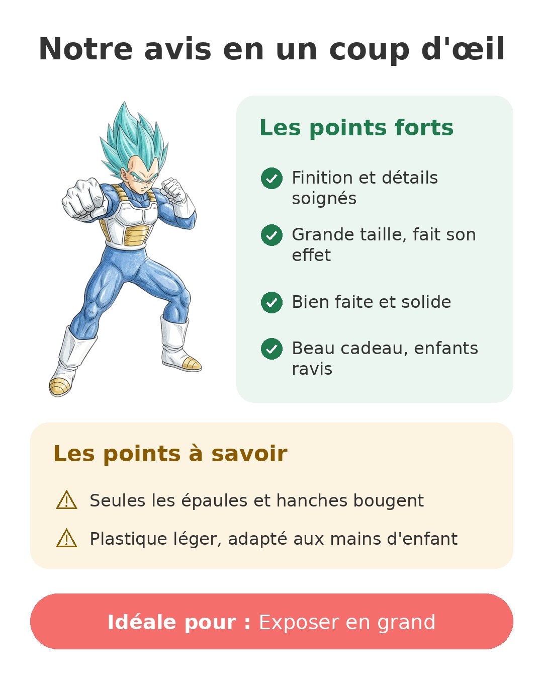 Notre avis en un coup d'œil sur Limit Breaker Vegeta