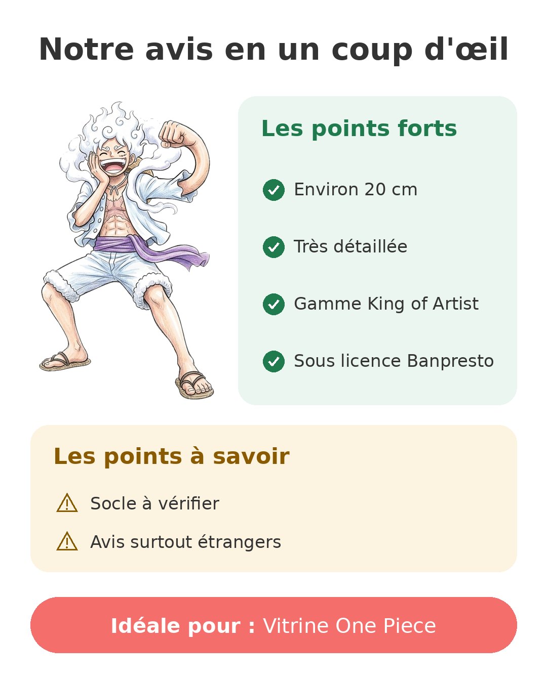 Notre avis en un coup d'œil sur Luffy King of Artist