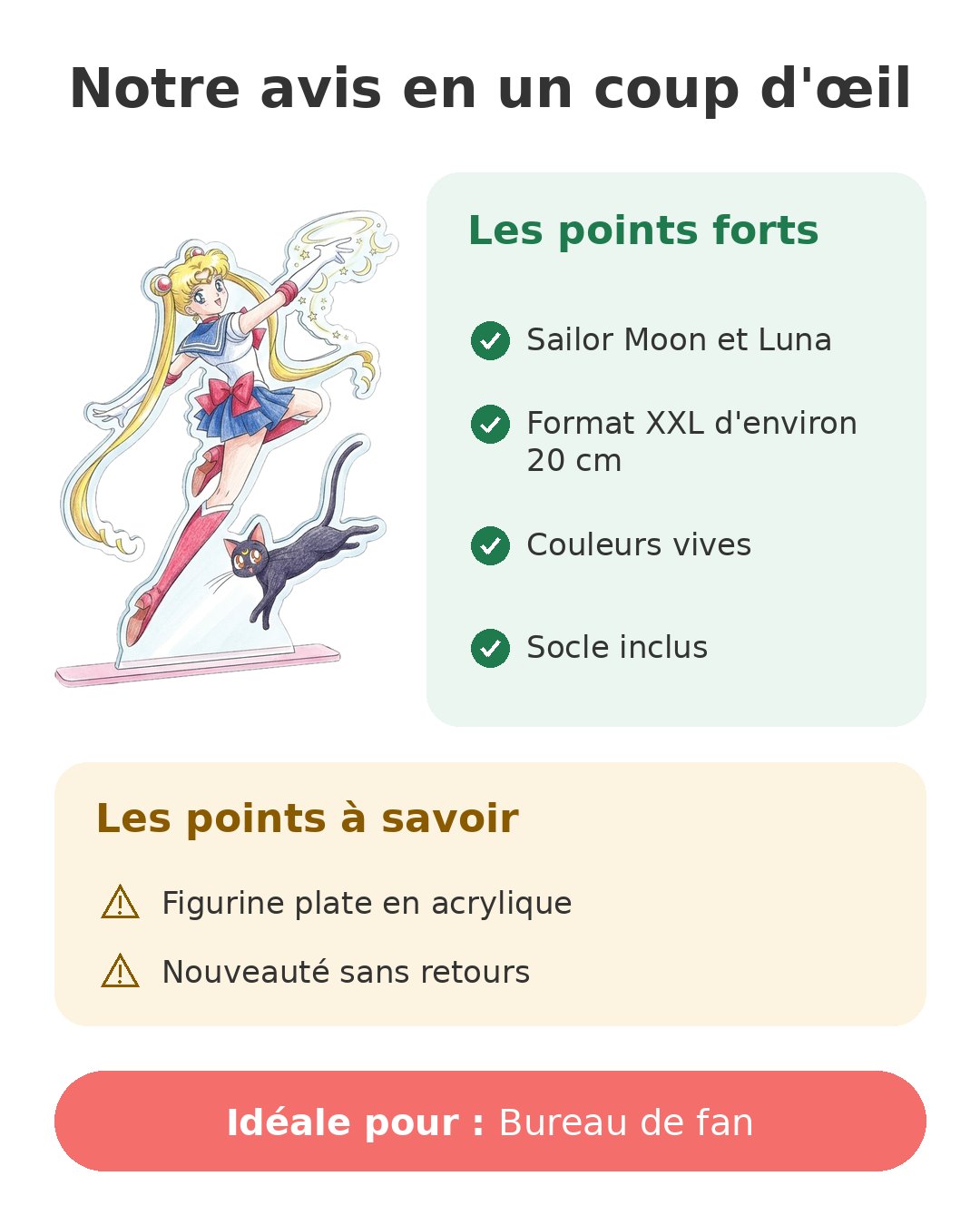 Notre avis en un coup d'œil sur Sailor Moon acrylique