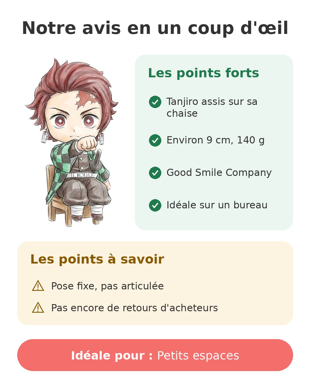 Notre avis en un coup d'œil sur Swacchao Tanjiro