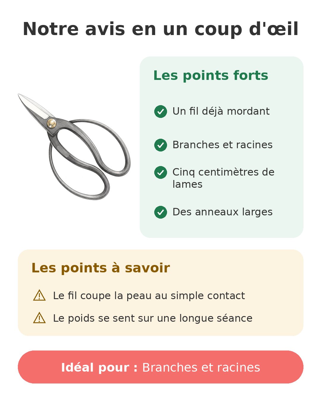 Notre avis en un coup d'œil sur Ciseaux Bairyu 18 cm