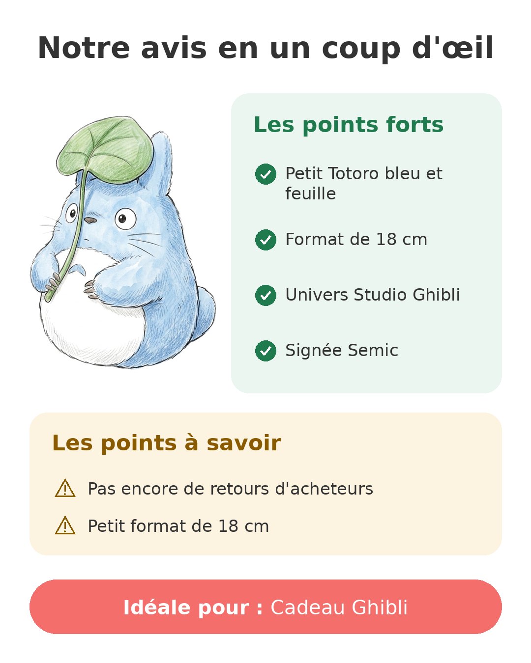 Notre avis en un coup d'œil sur Petit Totoro bleu