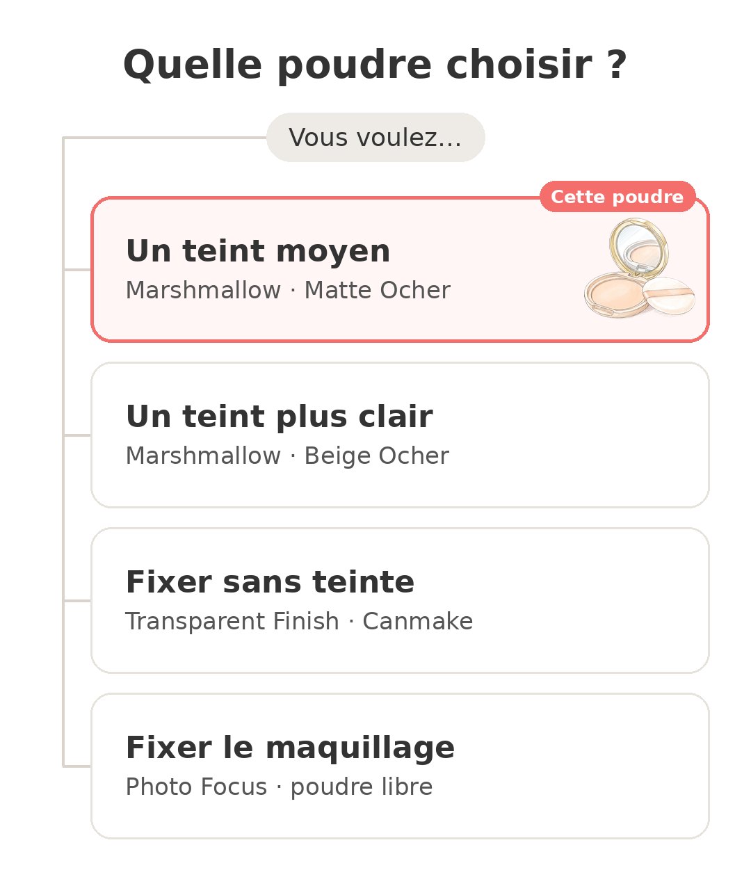 Quel modèle choisir : Poudre Canmake et ses concurrents