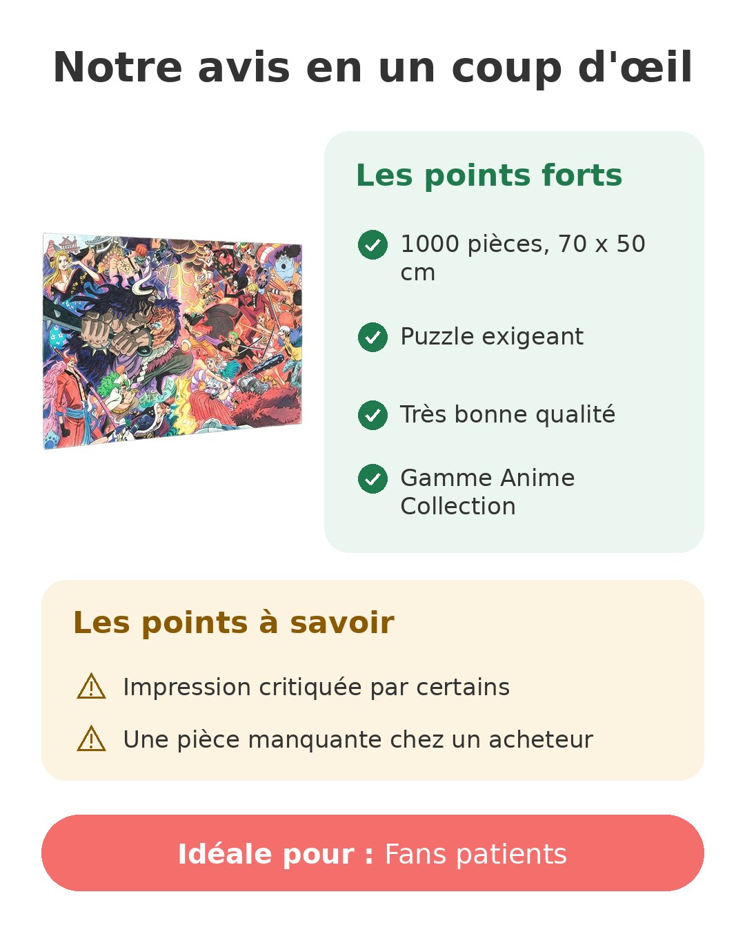 Notre avis en un coup d'œil sur Puzzle One Piece 1000