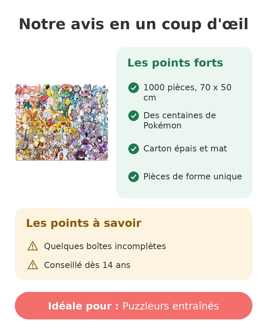 Notre avis en un coup d'œil sur Puzzle Pokémon 1000