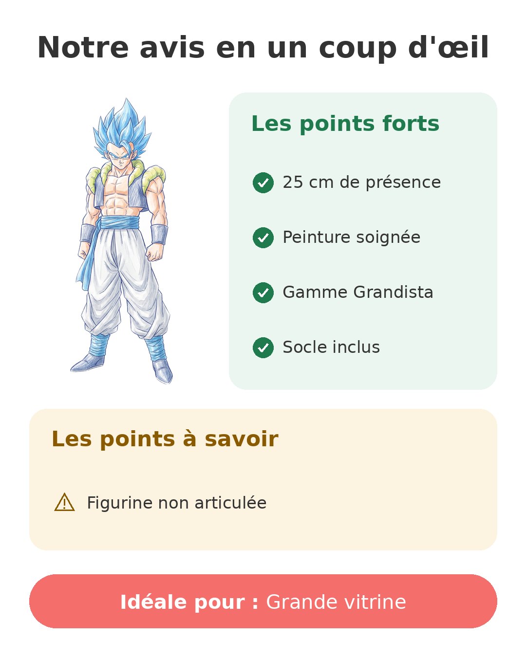 Notre avis en un coup d'œil sur Gogeta Grandista