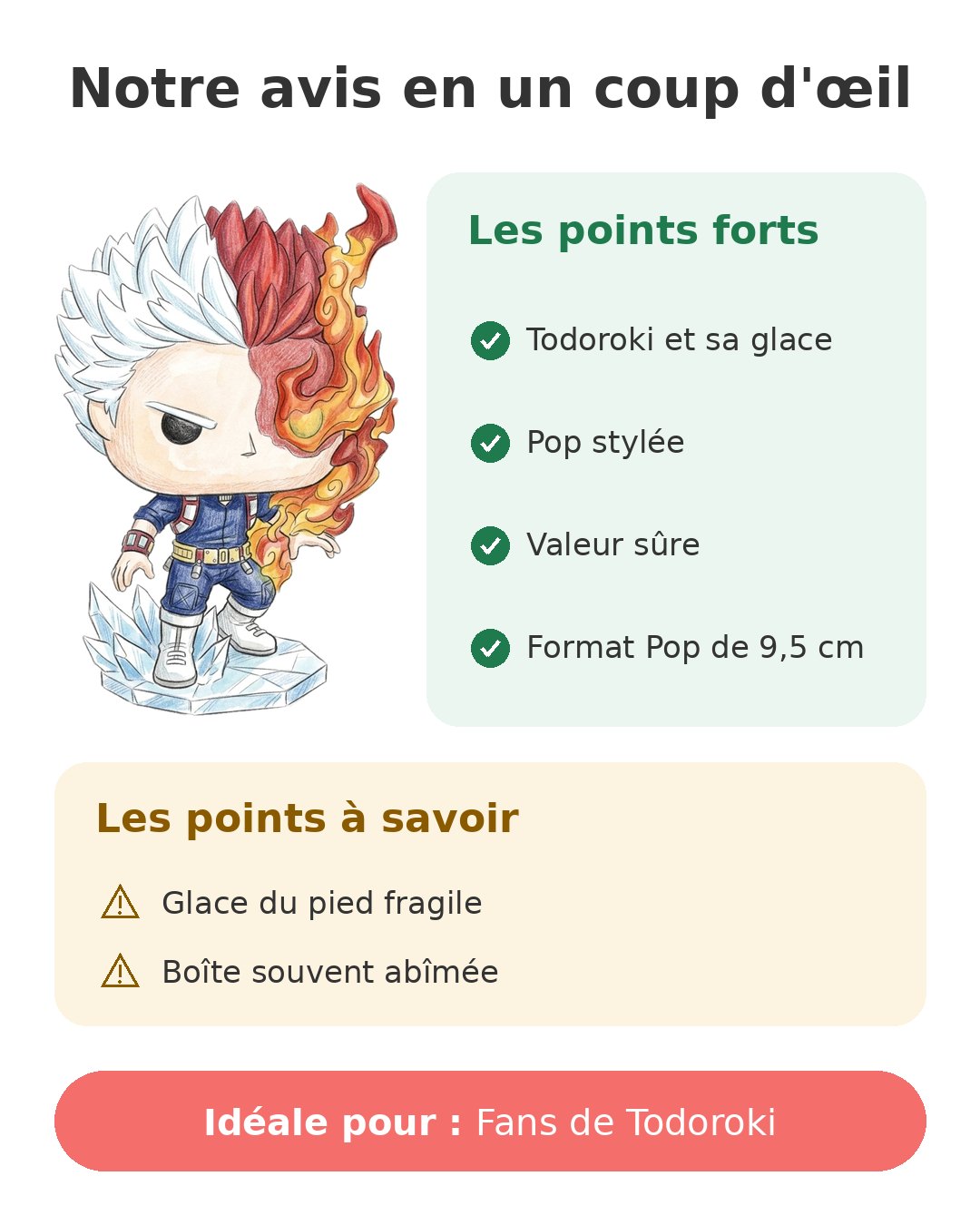 Notre avis en un coup d'œil sur Pop Todoroki