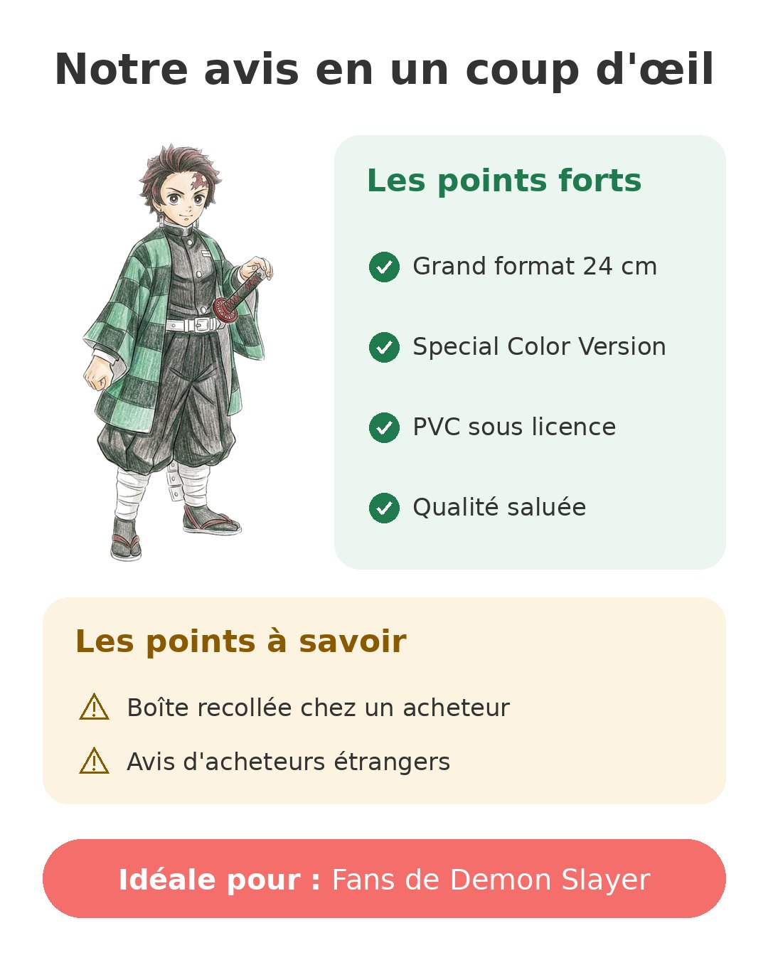 Notre avis en un coup d'œil sur Tanjiro Grandista