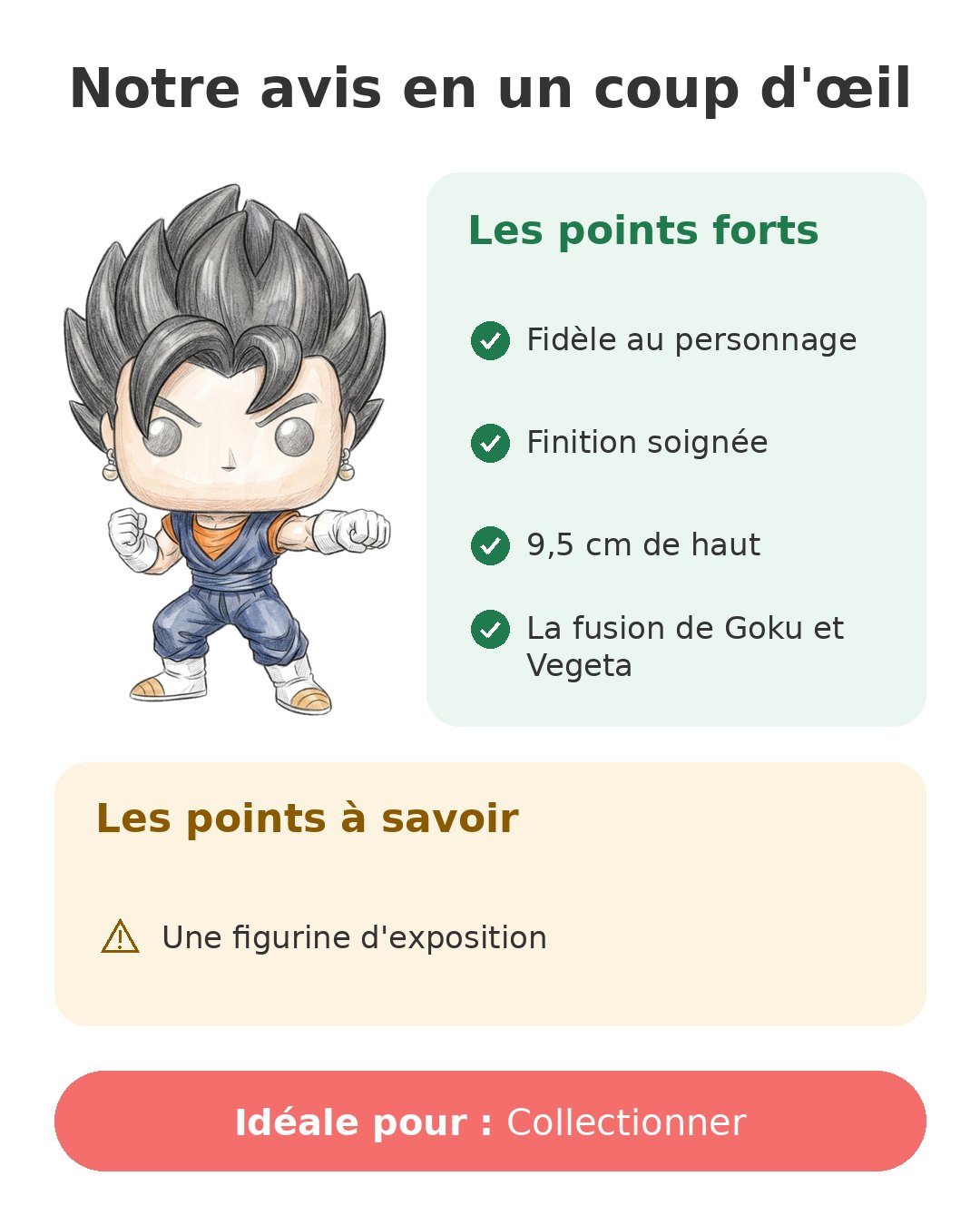 Notre avis en un coup d'œil sur Pop Vegito